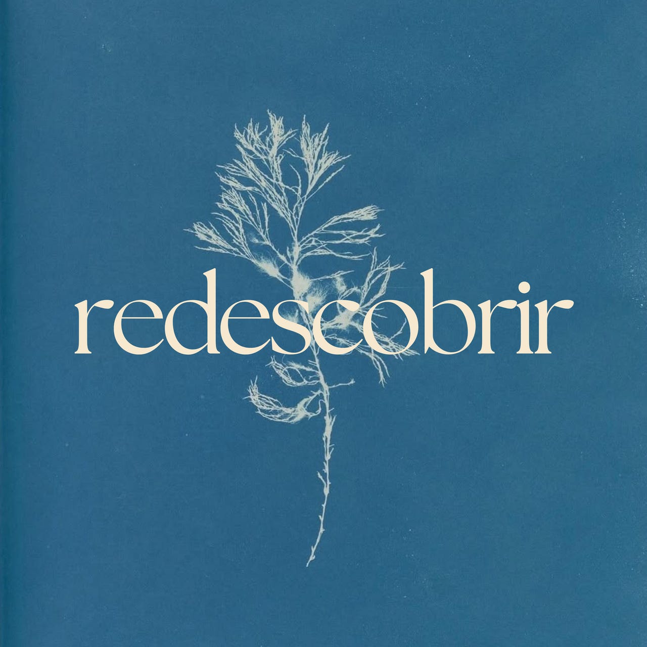 redescobrir