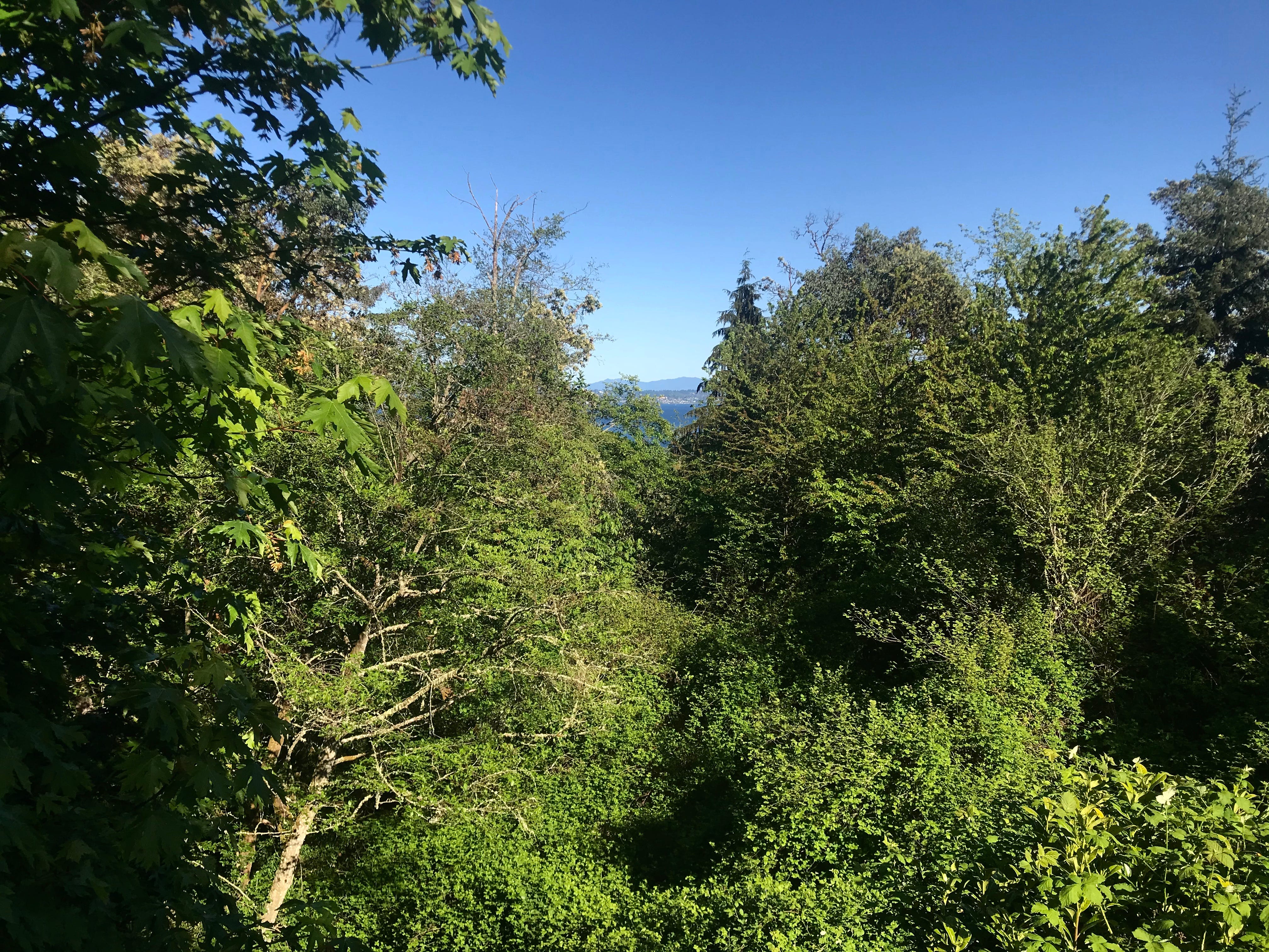 Panay View take a panoramic view - by Shauna James Ahern