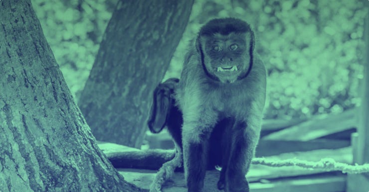 C10e588eb64ea0c7d663ff96b81661f0?1564581186