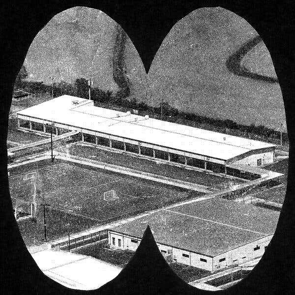 An illustration that includes an aerial photo of an ICE processing center in Louisiana.