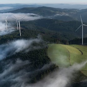 Les chauves-souris font disjoncter EDF