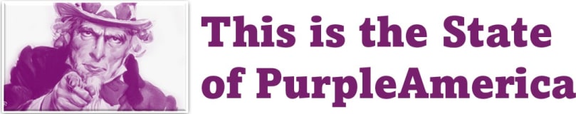 The State of PurpleAmerica