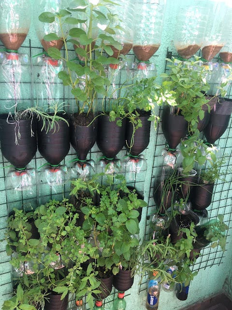 Huerta en Casa Huerta en Casa