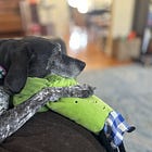 Psalm 25 - Holding on to the Broccoli of Hesed