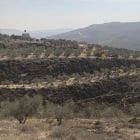 Lessons in resistance from the West Bank
