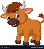 Image result for cute baby bull 