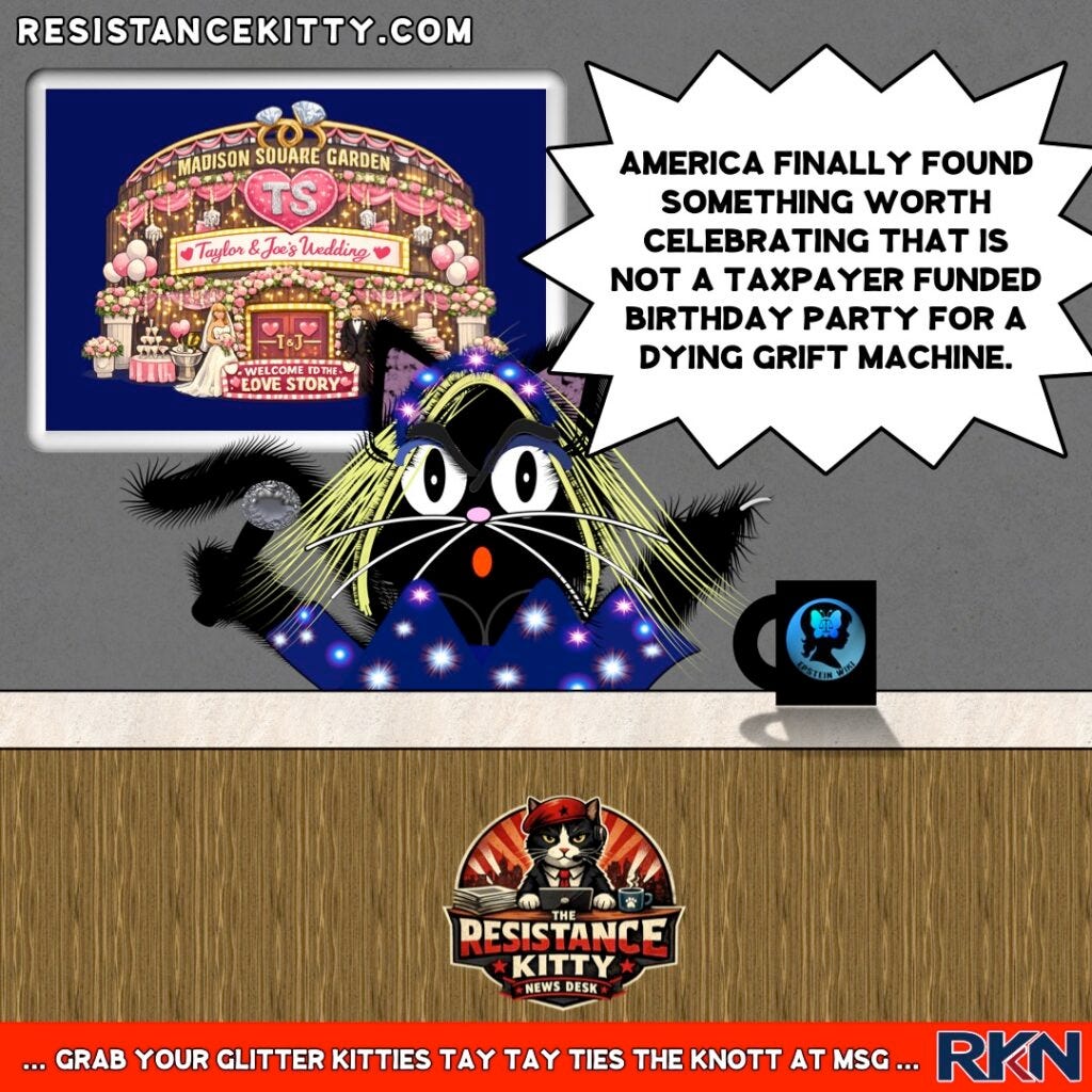 Resistance Kitty says, “America finally found something worth celebrating that is not a taxpayer funded birthday party for a dying grift machine.”