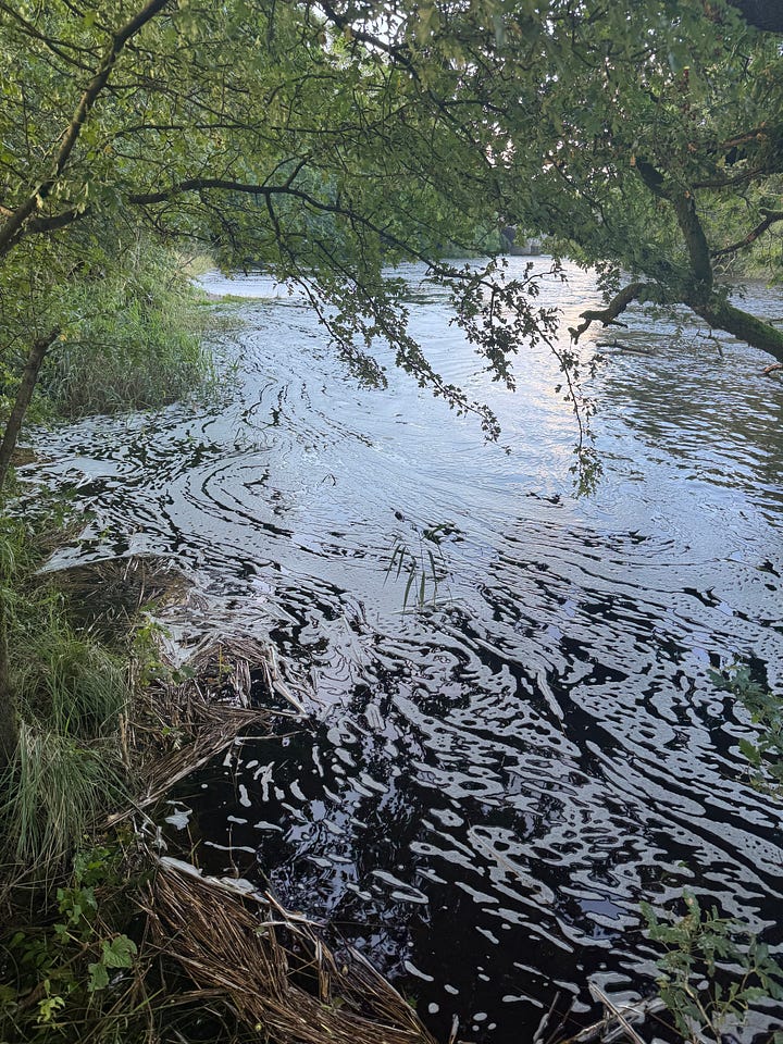 image of a river, seen through the branches of trees. and the wooden door of a hide, creaked open to show the seat and panel windows with trees on the other side.