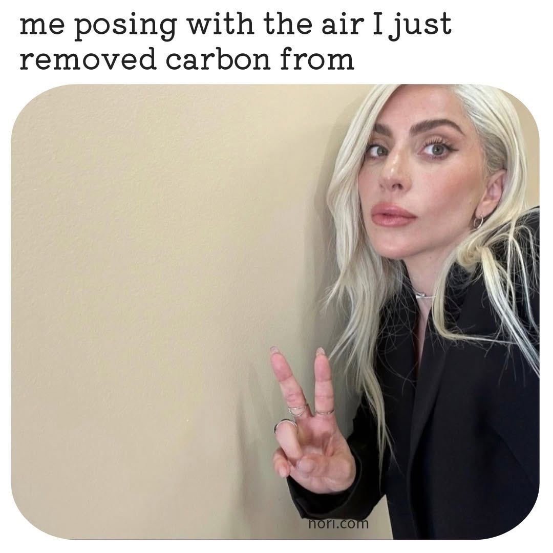 Lady Gaga taking a selfie with a peace sign beside an empty wall, under the text "me posing with the air I just removed carbon from".