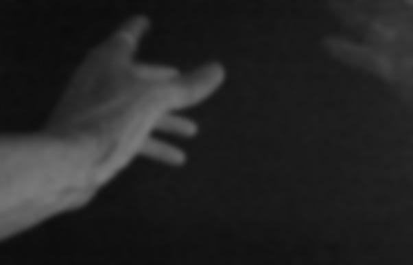 Sign Language - Barbara Buckles