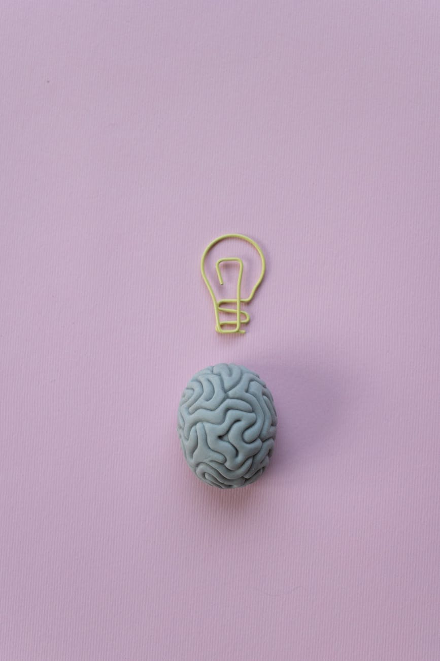 A brain model and a lightbulb-shaped paperclip symbolize cognitive thought and ideas