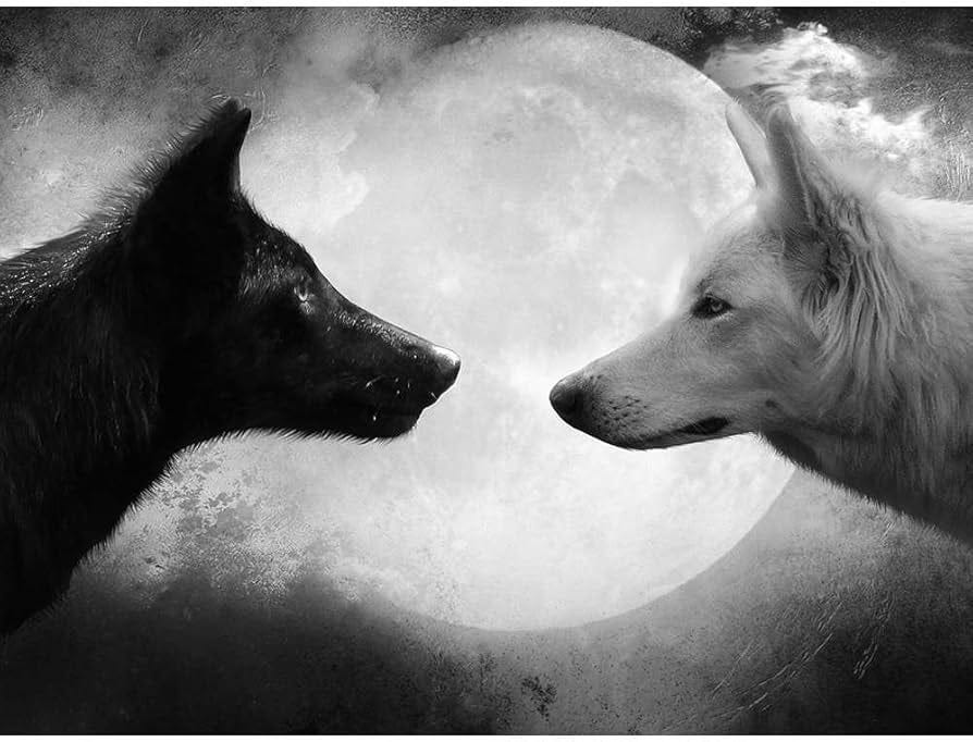 Black Wolf and White Wolf - Wildlife Animal Art Print Poster Wall Decor  Home Decor(24x16inches) : Amazon.ca: Home