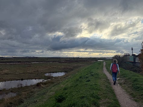 Photos of a boat at sea, a buidling with the words Erith Deep Wharf on the side, and a landscape with marsh