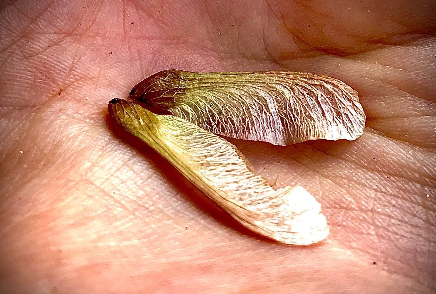 we all hold deep and amazing reserves of spiritual protection and wisdom that we’ve barely tapped into. It takes a lifetime of love and prayerful seeking to reach our full, God-given potential.