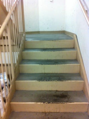 IMG_2831 IMG_2831