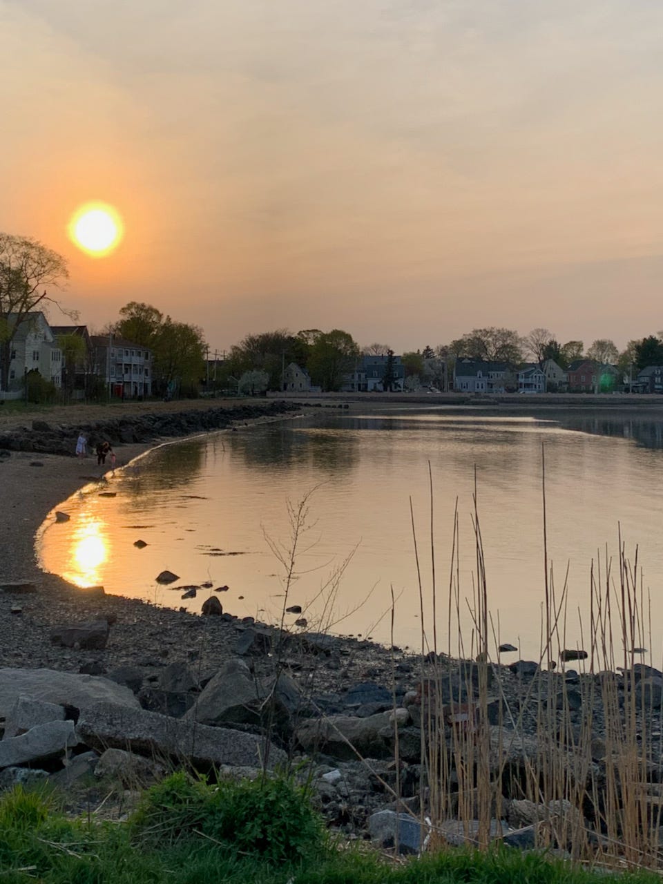 Sunset photo on a sandy cove beach, with grasses in the foreground and houses in the background