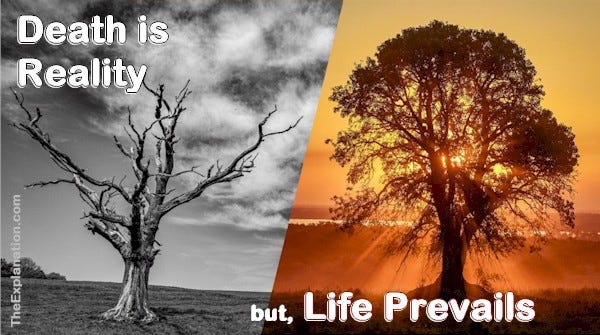 Death is a reality, but Life prevails in God’s plan.