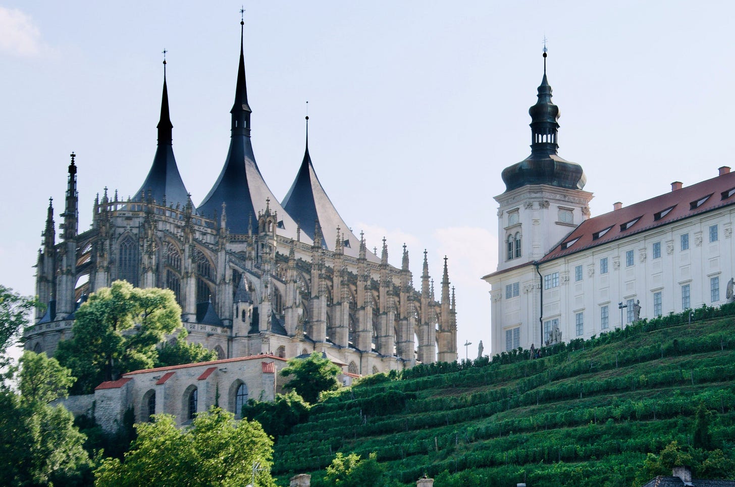 green vineyards with a gothic cathedral in the background green vineyards with a gothic cathedral in the background
