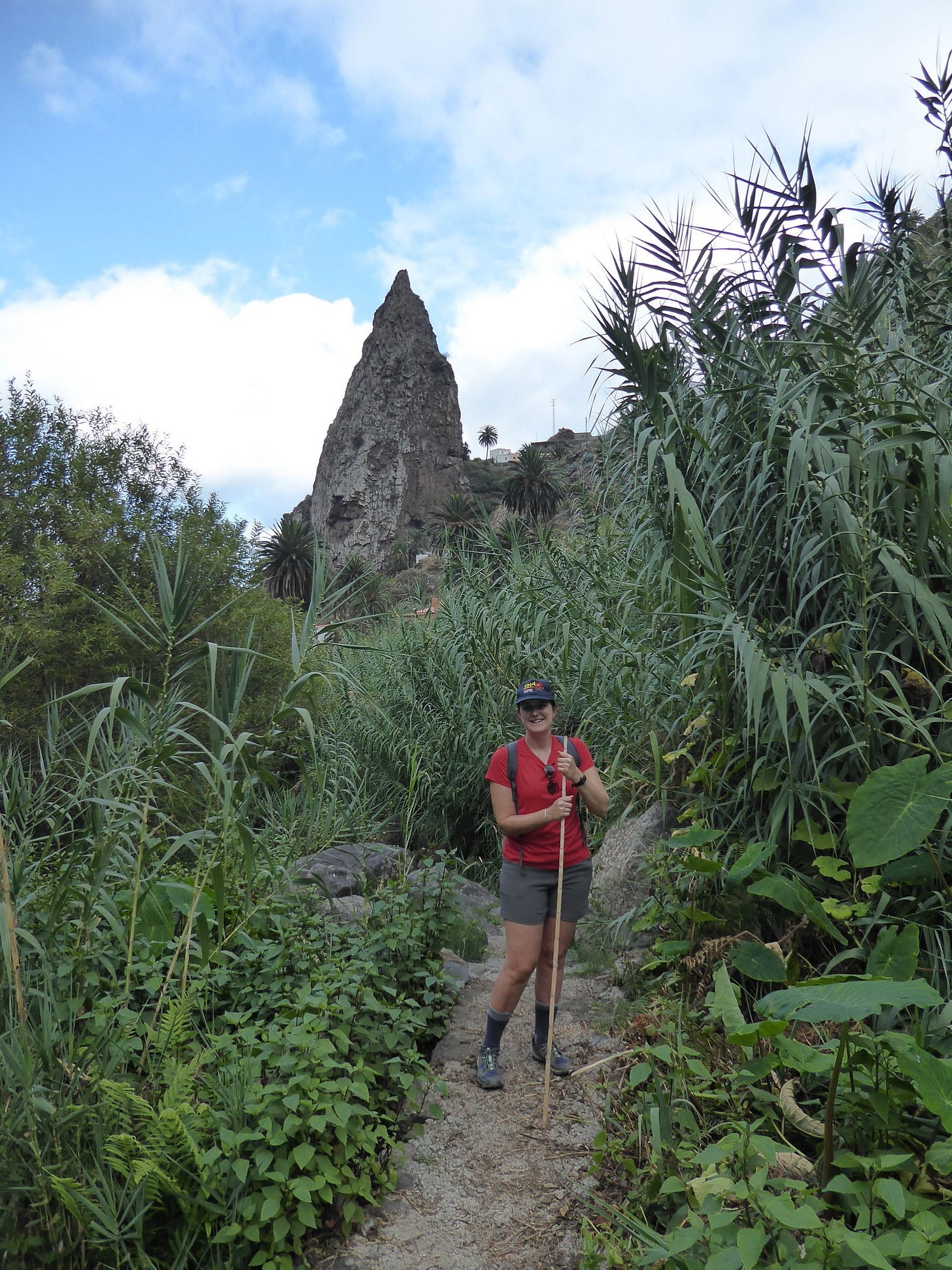 The fragile forests of La Gomera