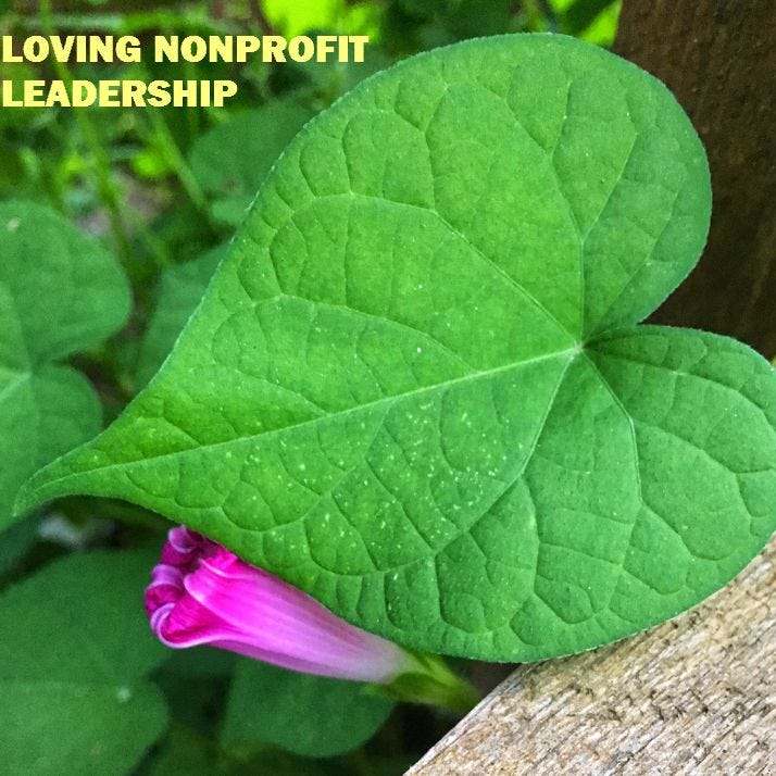 Loving Nonprofit Leadership
