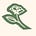 Stop & Smell The F*cking Roses's avatar