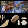 Anthropology.net