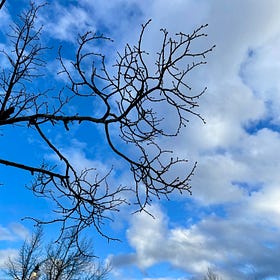 Learning to love January