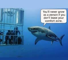 Be a shark like me! 😅 Happy Monday!!