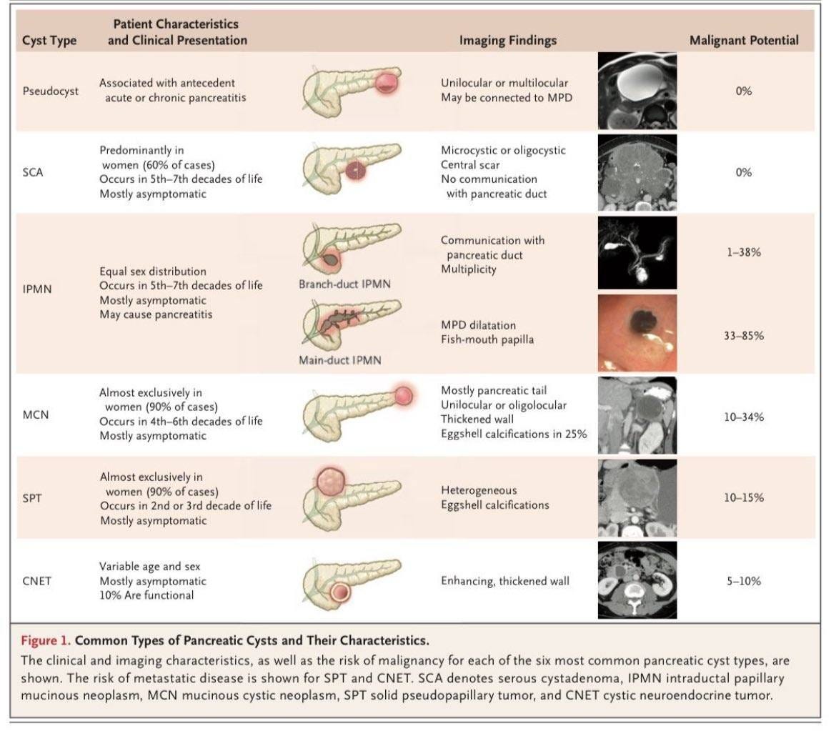 Common Types of Pancreatic Cysts and Their Characteristics