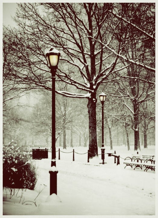 BrooklynSnow_Snapseed
