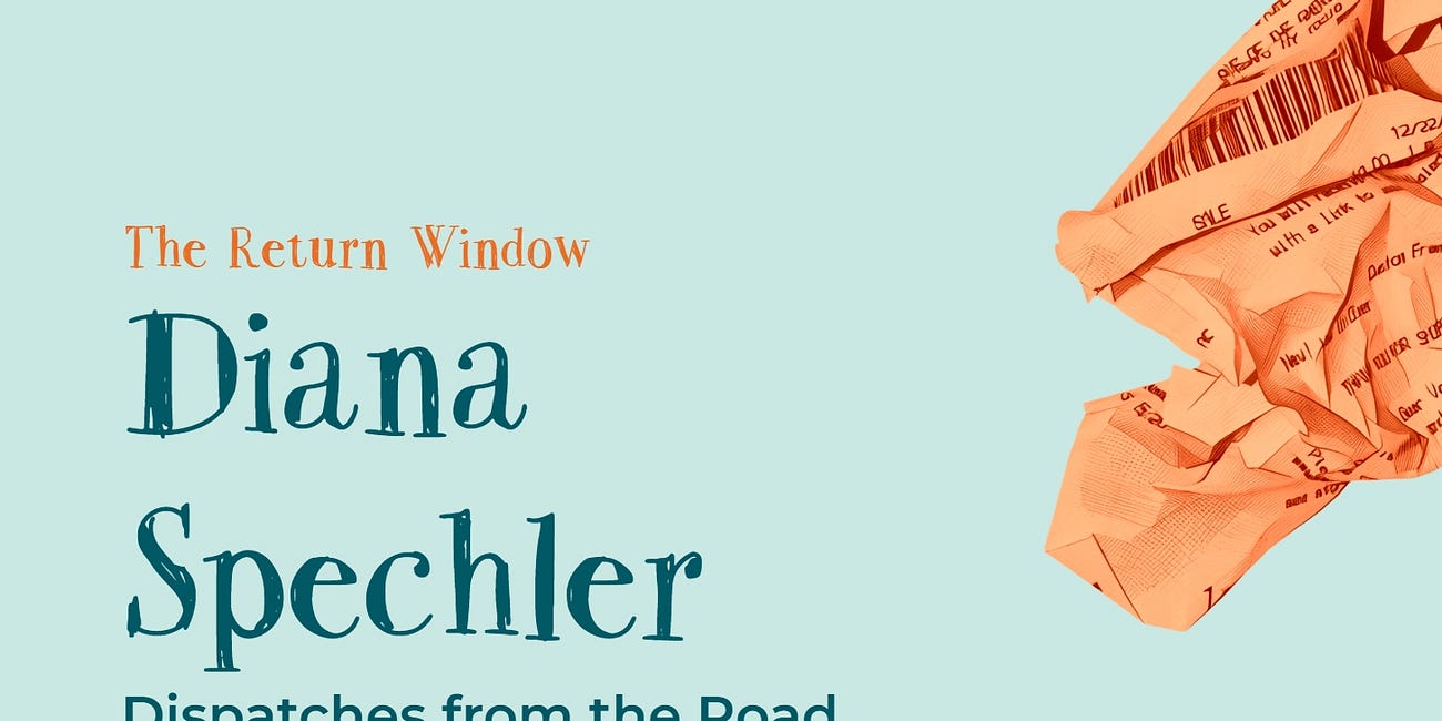 The Return Window with Diana Spechler