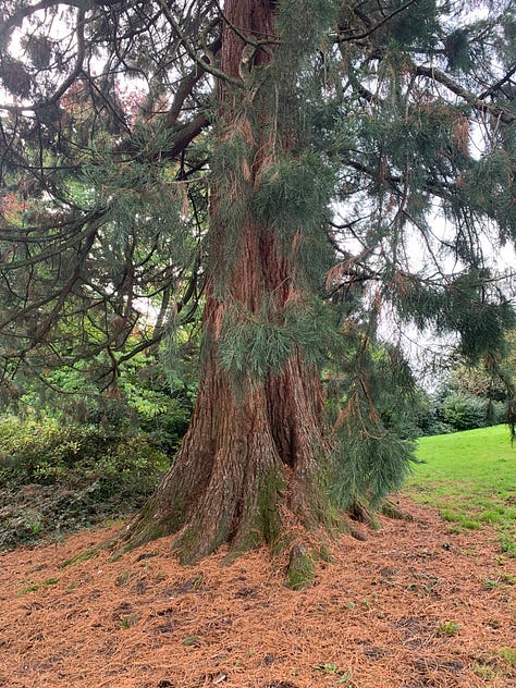 A feast for the eyes on a stroll in Newport