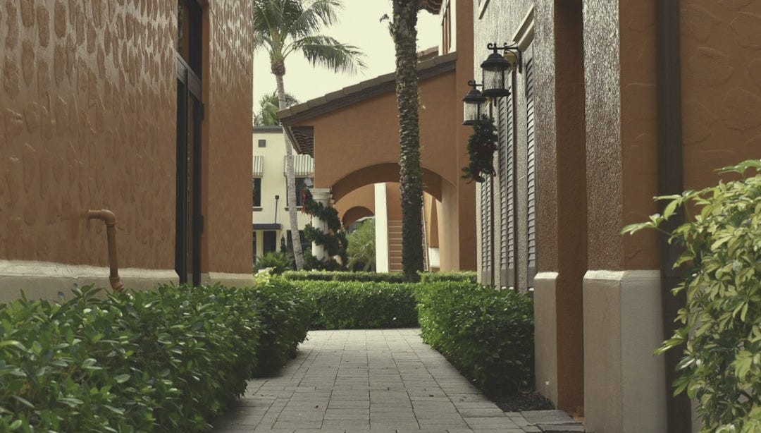 a walkway between two buildings with a palm tree a walkway between two buildings with a palm tree