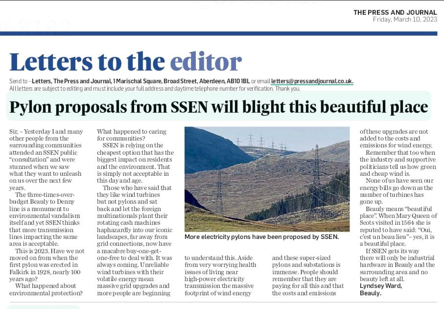 "𝐏𝐲𝐥𝐨𝐧 𝐩𝐫𝐨𝐩𝐨𝐬𝐚𝐥𝐬 𝐟𝐫𝐨𝐦 𝐒𝐒𝐄𝐍 𝐰𝐢𝐥𝐥 𝐛𝐥𝐢𝐠𝐡𝐭 𝐭𝐡𝐢𝐬 𝐛𝐞𝐚𝐮𝐭𝐢𝐟𝐮𝐥 𝐩𝐥𝐚𝐜𝐞" by Lindsey Ward