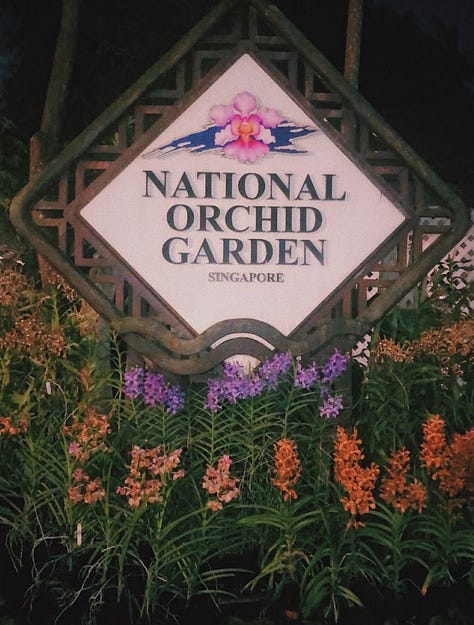 left to right: East Coast Park, Botanic Gardens, Bussorah Street