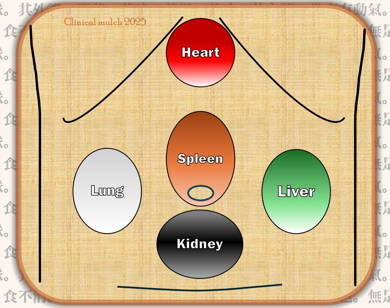 Infographic diagram of the diagnostic areas on the abdomen according to the Classic of Difficulties. The heart is above the navel, lung is to the patient's right, liver is to the patient's left, spleen is around the navel and kidney is beneath the navel.