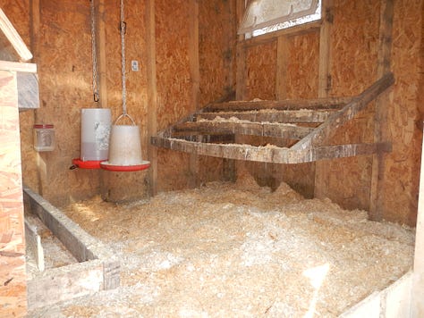 chicken coop spring cleaning