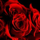 The Color of Hope