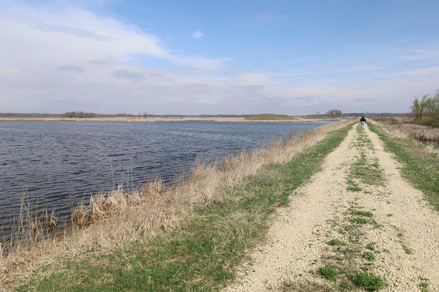 The dike along the marsh