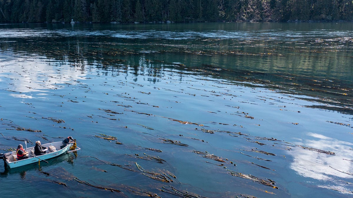 Indigenous-Led Ocean Protection in Canada