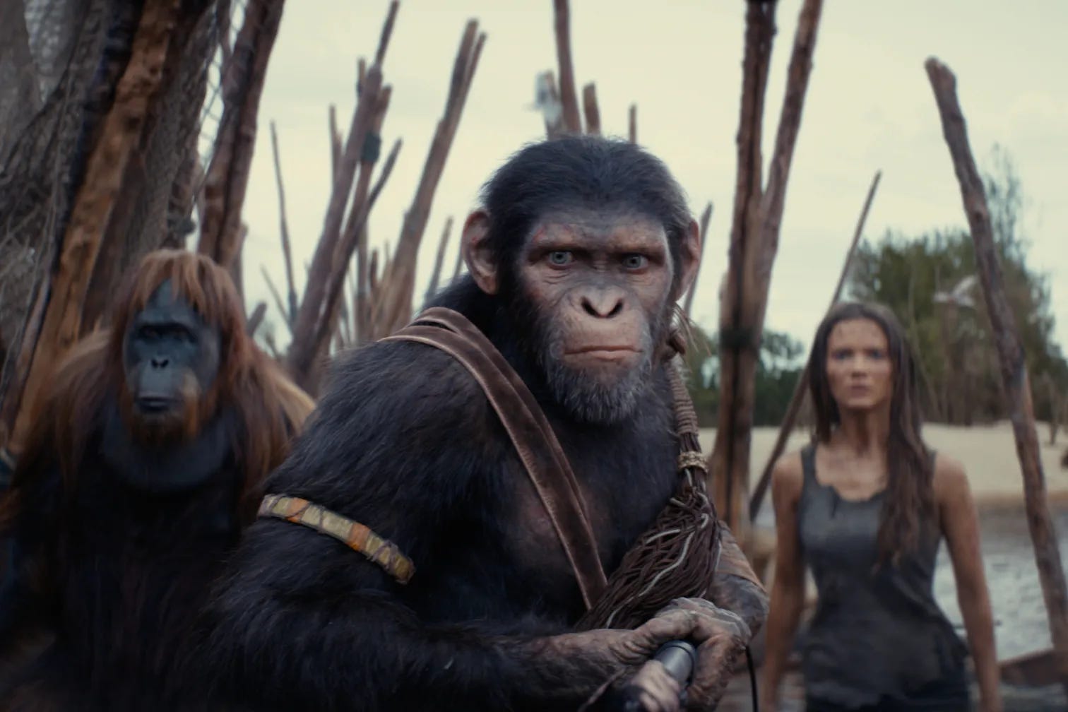 Film Highlights News Roundup (May 10, 2026)