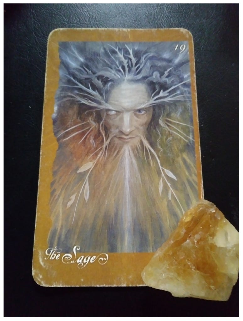 A Message from the Universe - The Sage (reversed) A Message from the Universe - The Sage (reversed)
