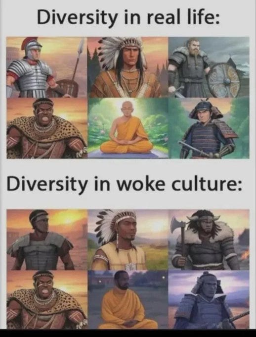 The image is a meme comparing "Diversity in real life" to "Diversity in woke culture". The top half shows a collage of six different historical or cultural figures: a Roman soldier, a Native American chief, a Viking, an African warrior, a Buddhist monk, and a samurai. The bottom half shows the same figures but with a modern twist, suggesting a critique of how diversity is portrayed in contemporary media, specifically referencing Netflix shows as per the original post text. The meme uses a common format to highlight perceived differences in representation.