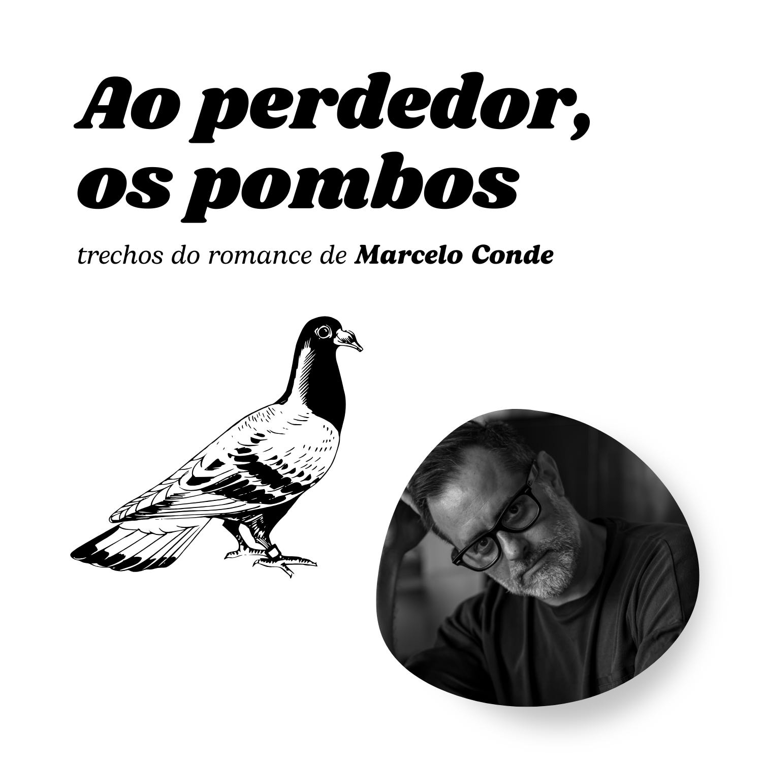 Grátis: Talvez a sua jornada agora seja Iande Albuquerque 240504 132436 -  Material Claro e Objetivo em PDF para Estudo Rápido, image size:1500x1500