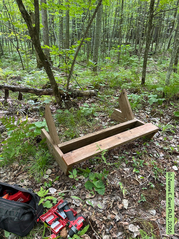 The pieces of wood being assembled in the greenest woods.