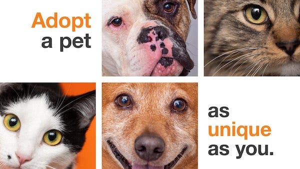 national-adoption-weekend