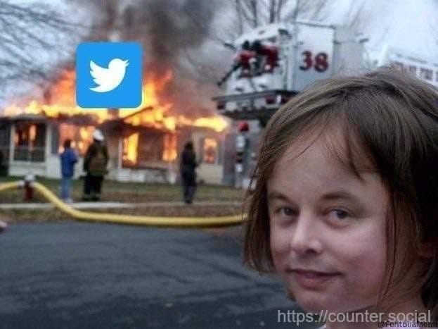 The Dumpster Fire that Is Twitter » mark a. rayner