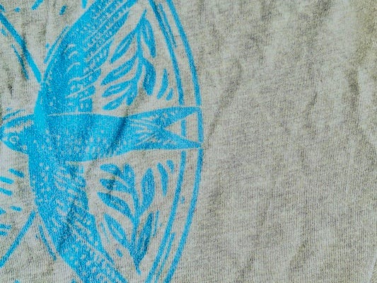 an image of a swift on a t-shirt an image of a swift on a t-shirt