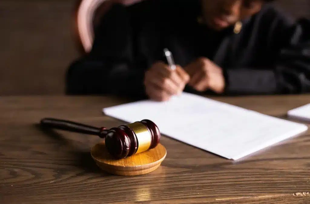 Selective Enforcement - by Michael "Thunder" Phillips