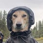 Jimmy's avatar